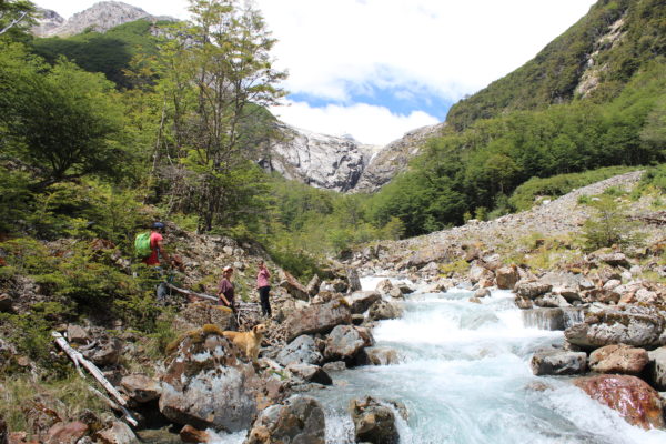 Bahía Murta  Trekking  - Cabalgata  Torres  del Avellano 6  Días 5 Noches - Imagen 3