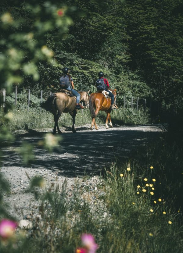 Murta Ruta Cabalgata,Termas del  Engaño Full día. - Imagen 21