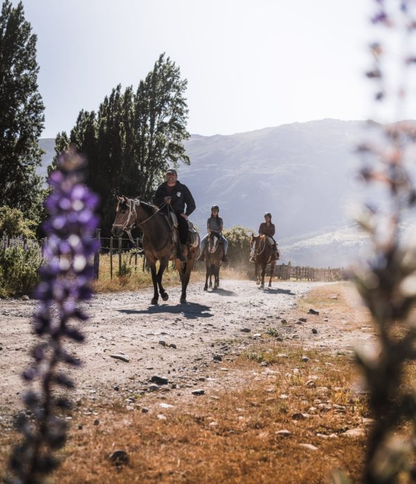 Murta Ruta Cabalgata,Termas del  Engaño Full día. - Imagen 24
