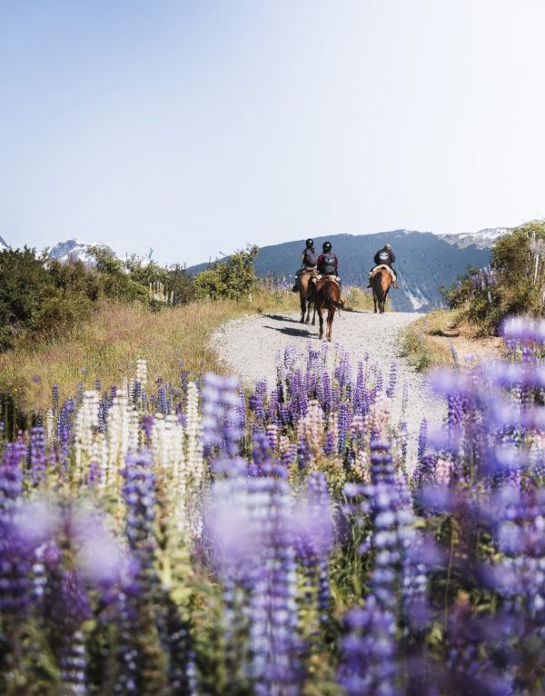 Murta Ruta Cabalgata,Termas del  Engaño Full día. - Imagen 17