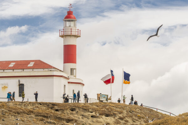 Tour Isla Magdalena (Pingüineras) - Imagen 6